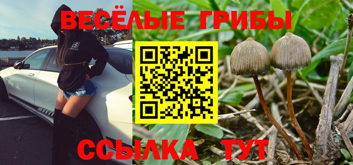 Чапаевск  Галлюциногенные грибы мухоморы  дарнет шоп  Вход с VPN 